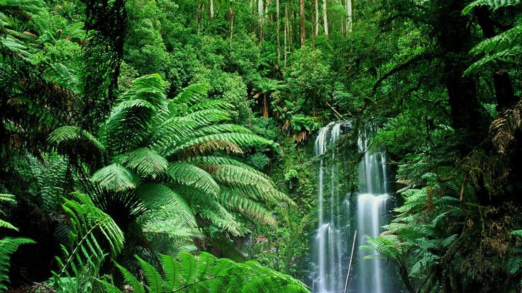 Delhi , Agra , Orchha , Khajuraho , Bandhavgarh , Kanha , Mumbai