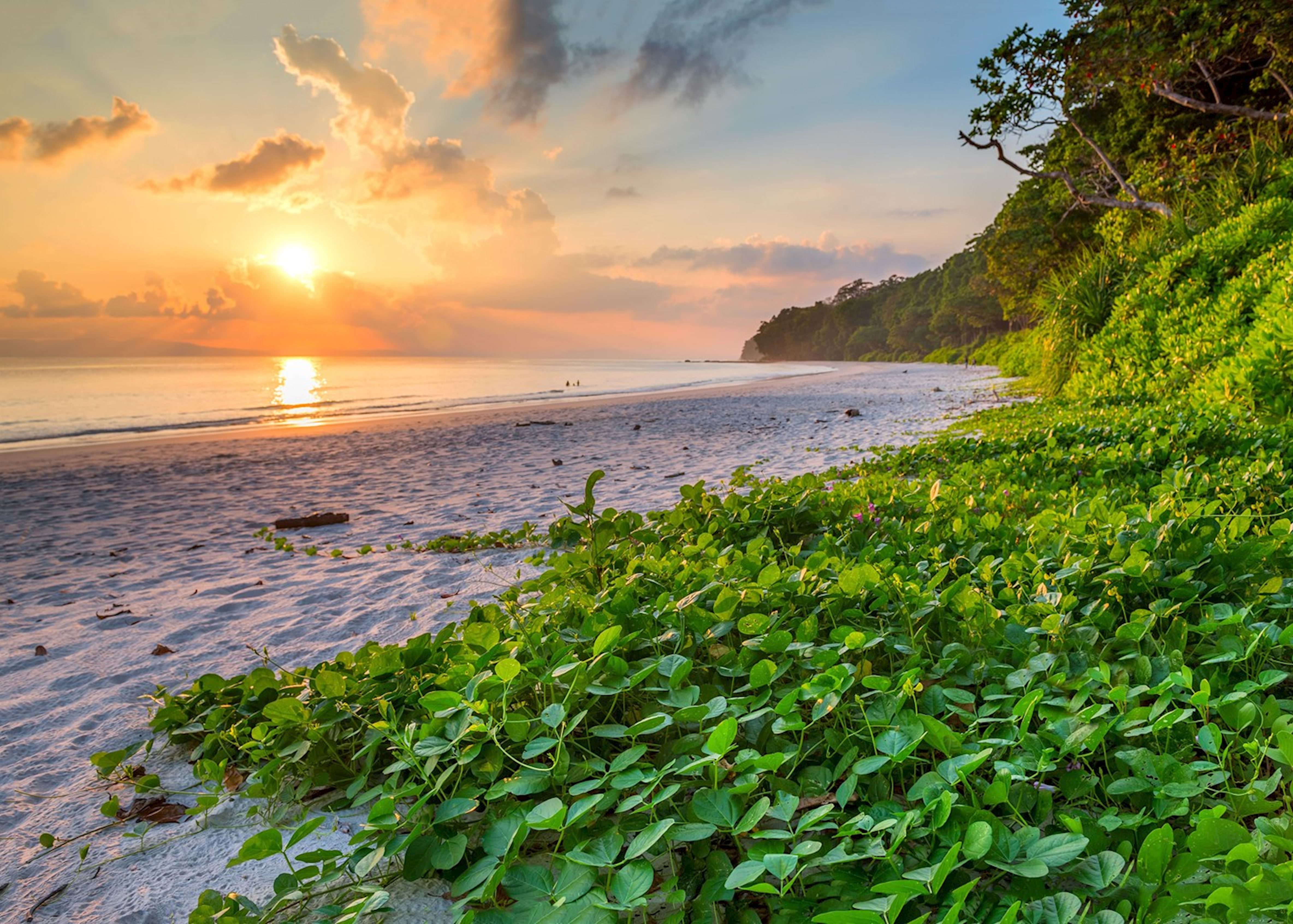 Andaman and Nicobar Tour Packages