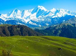 Dayara Bugyal Trek