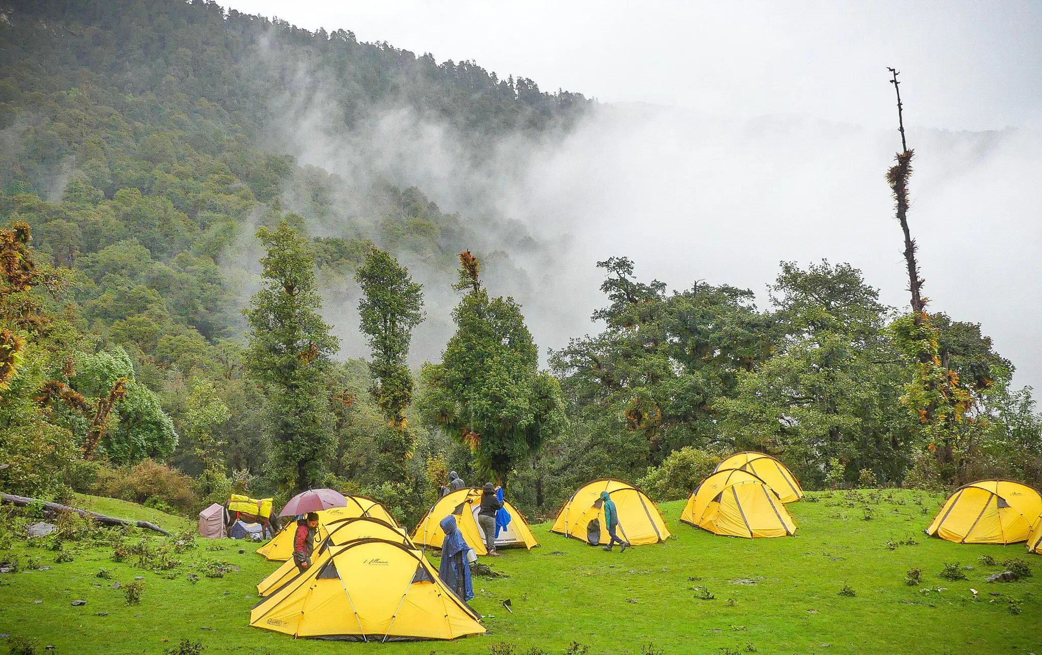 Uttarakhand