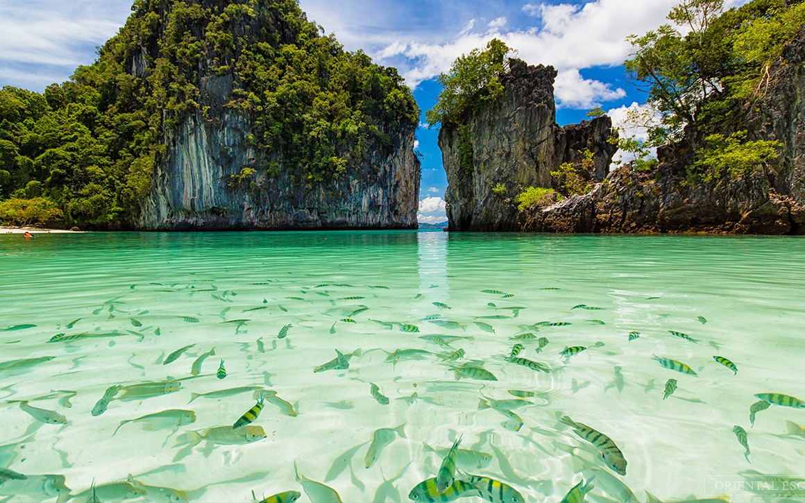 Hong Island Snorkeling Tour