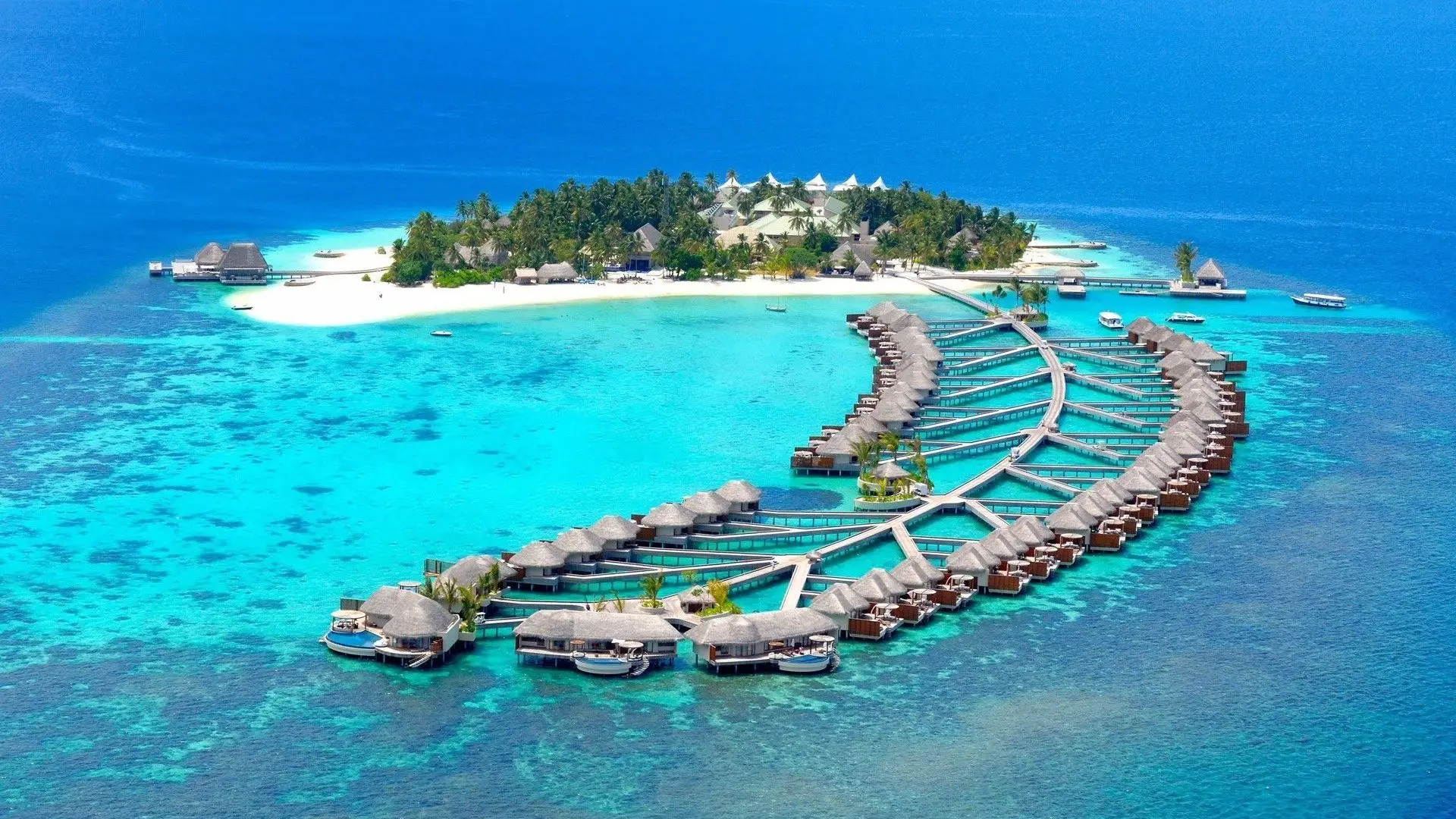 Lakshadweep Delight