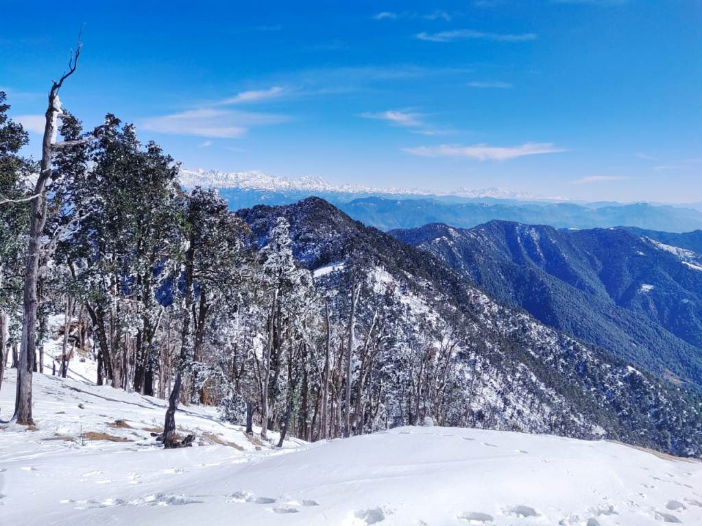 Pantwari – Dehradun